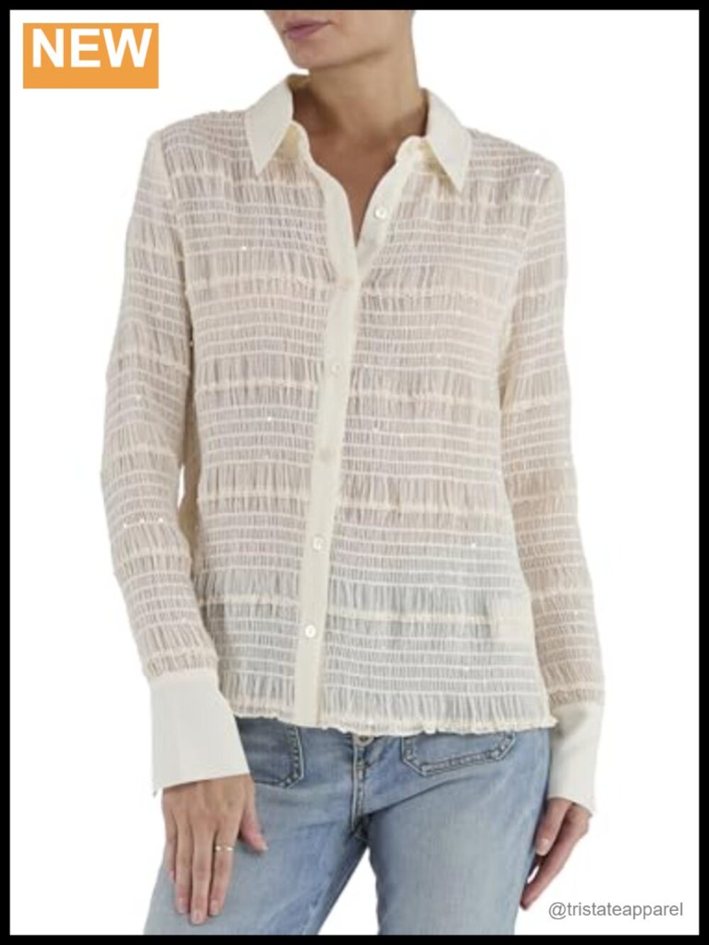 Sequin Chiffon Button-Down Collared Blouse